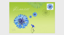 [Cornflower, type BDU]