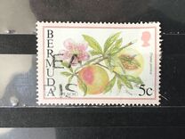 [Flowering Fruits, type TK]