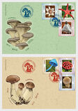 [Mushrooms, type LHO]