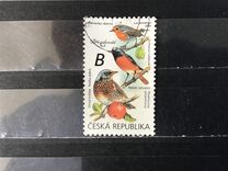 [Birds - Songbirds, type AOD]