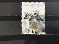 [Small and Large Animals, Tipi IGY]
