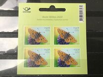 [Butterfly of the Year – Marsh Fritillary, tegund BDE]