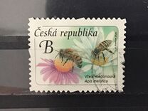 [Definitive - Honey Bee, type ANV]