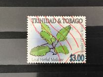 [Medicinal Plants, type AAM]
