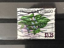 [Medicinal Plants, type AAN]