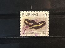 [Marine Life, type JDA]
