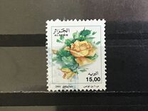 [Roses, tip ARB]