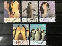[Birds - Emperor Penguin, Scrivi BN]