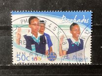 [The 100th Anniversary of Girl Guides, 類型 AZG]