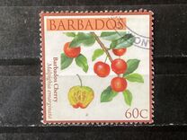 [Flora - Local Fruits, Tipe AZO]