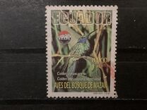 [Birds of Mazan, type CND]
