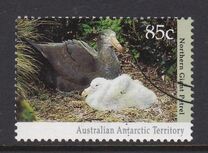 [Antarctic Wildlife, type CN]