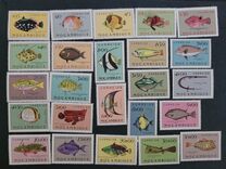 [Fish, ประเภท BY]