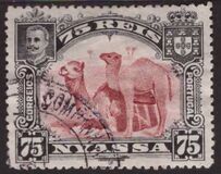 [Dromedary Camels, тып D]