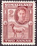 [Blackhead Sheep, type L2]