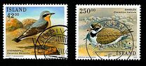[Icelandic Birds, වර්ගය ABR]