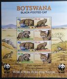 [Endangered Species - Black-footed Cat, type AEH]
