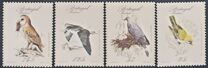 [Rare Birds, tegund BV]