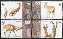[World Wildlife Found - Bezoar Ibex, tip GA]