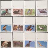 [Birds - White Frame, jenis BKJ]