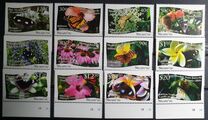 [Butterflies - White Background, Вид OW]
