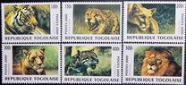 [Big Cats from around the World, típus CUJ]