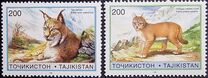 [Small Cats, type CJ]