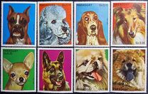 [Dogs, 类型 BGW]
