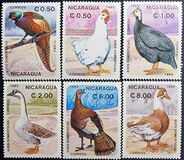 [Domestic Animals - Birds, type BPM]