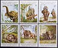 [Indian Elephant, Tipo TD]