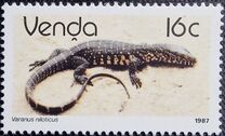 [Reptiles, type EX]