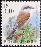 [Birds, Tüüp CGX]