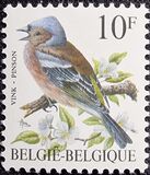 [Birds, نوع BNI]