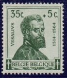 [The struggle against Tuberculosis, type IS]