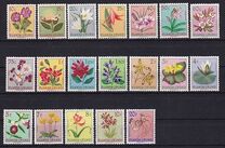 [Indigenous Flora, tyyppi BJ]