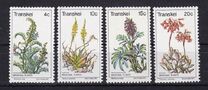 [Medicinal Plants, Вид Y]