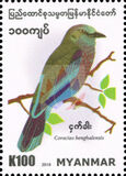 [Birds - Indian Roller, type FR]