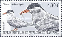 [Birds - Arctic Tern, type AEV]