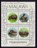 [Hippopotamus, type PD]