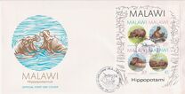 [Hippopotamus, Tipi PD]