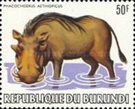 [African Animals, Tüüp AXB]