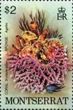 [Marine Life, 유형 JZ]