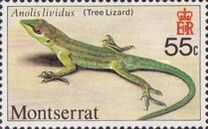 [Reptiles and Amphibians, Tip KC]