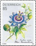 [Flowers - Blue Passionflower, type DSC]
