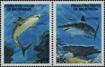 [Sharks, Scrivi DX]