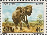 [Flora and Fauna, Scrivi LA]