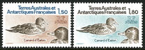 [Antarctic Fauna, 类型 FE]