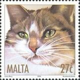 [Cats, Tip AOO]