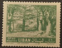 [Cedar of Lebanon, Zahle, type HV]