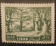 [Cedar of Lebanon and Zahle, tip IG]